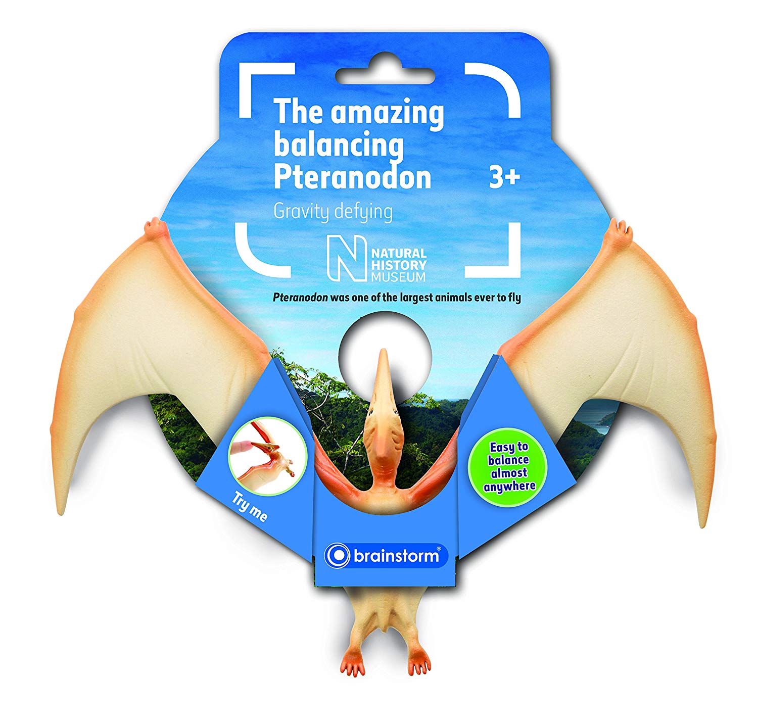 Pteranodon v rovnováhe
