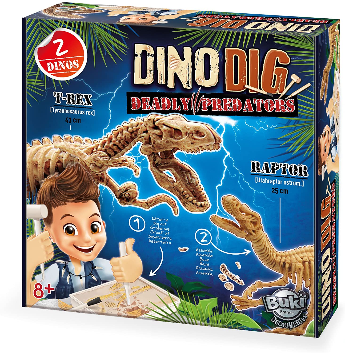 Vykopávka - 2 dinosaury