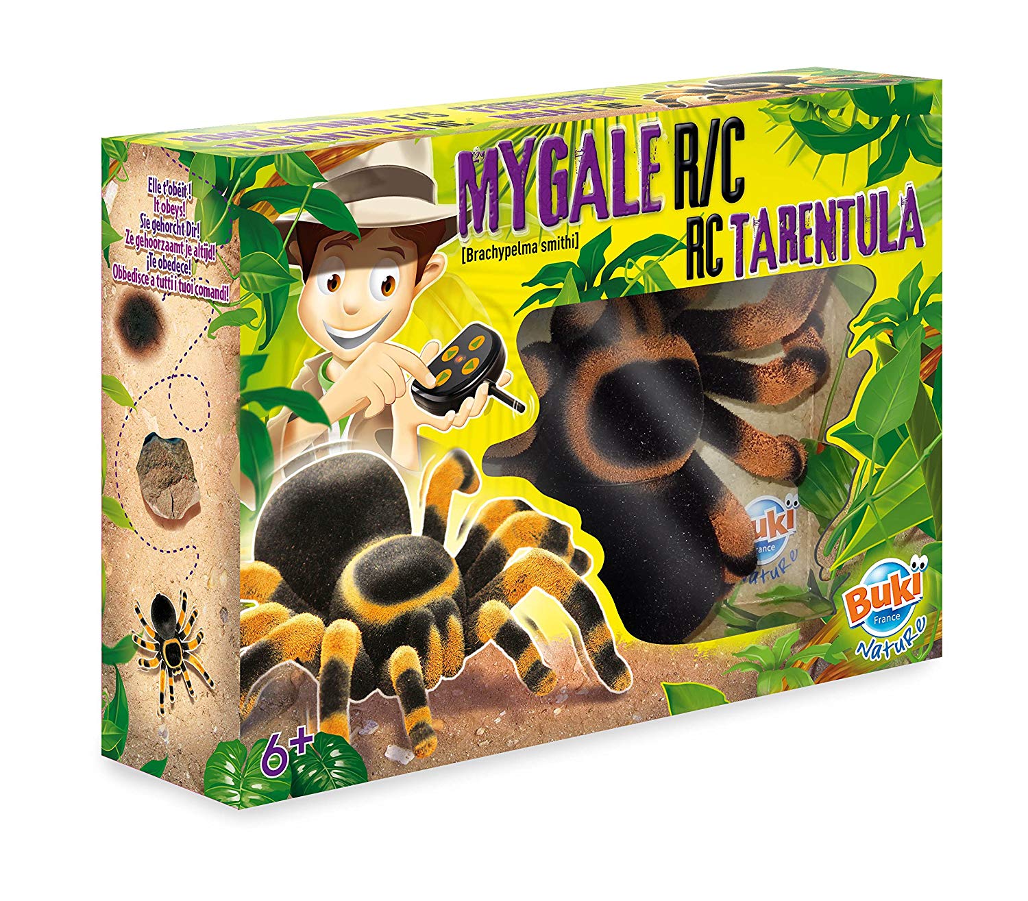 Tarantula na DO