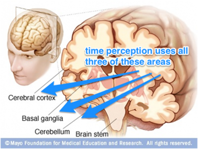 b2ap3_thumbnail_gk-d-perception.png
