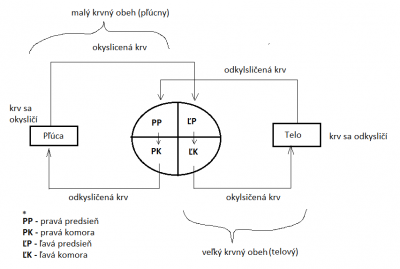 b2ap3_thumbnail_4---krvn-obeh.png