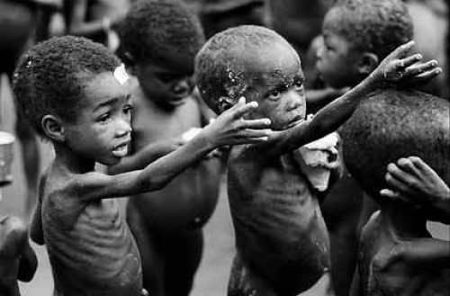 Bieda a hlad