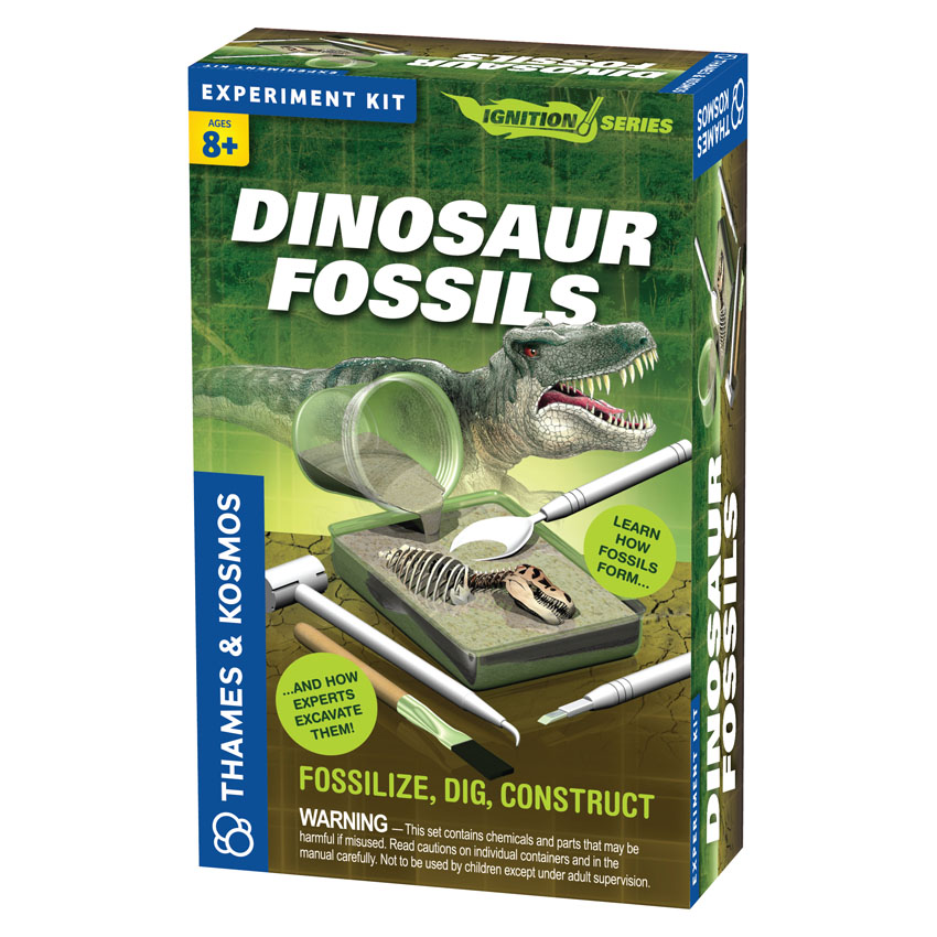 Fosílie dinosaura