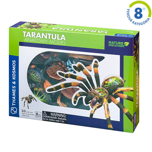Tarantula - model