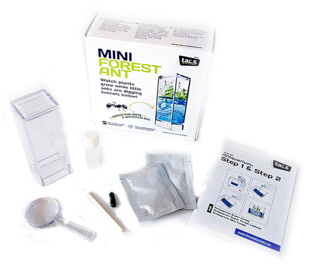 Labák pre pozorovanie mravcov - mini